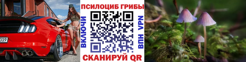 Галлюциногенные грибы прущие грибы  Купить где  Шагонар 